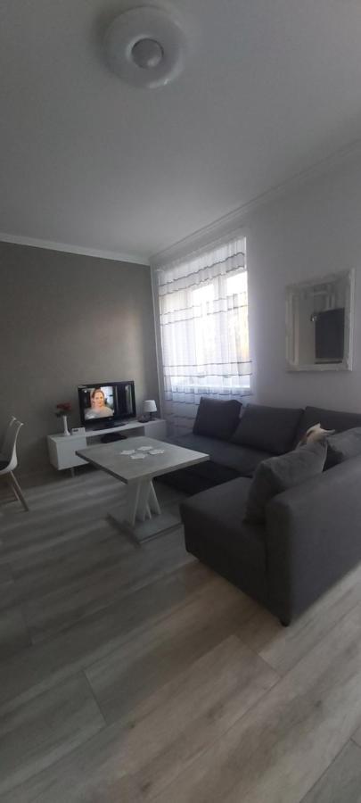 Apartament U Eli Строне-Шльонське Екстер'єр фото
