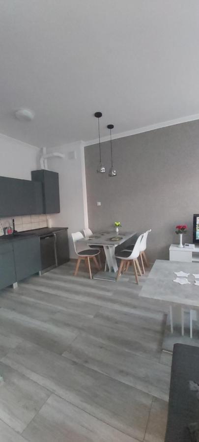 Apartament U Eli Строне-Шльонське Екстер'єр фото